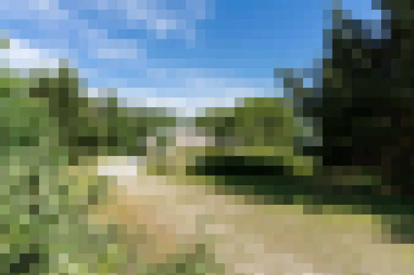 Gladde Duuntjes 4 Buren thumbnail 29