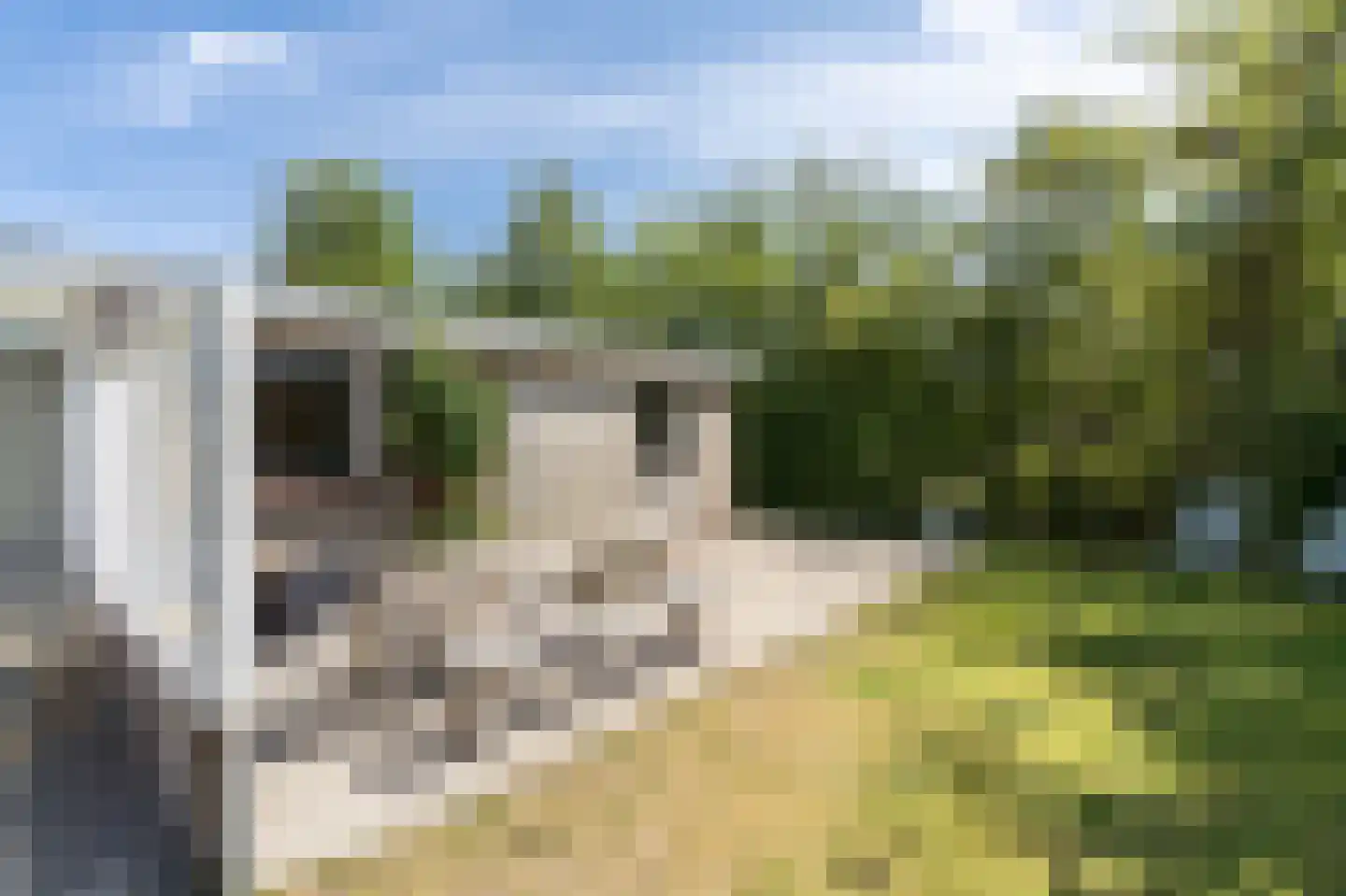 Gladde Duuntjes 4 Buren thumbnail 32