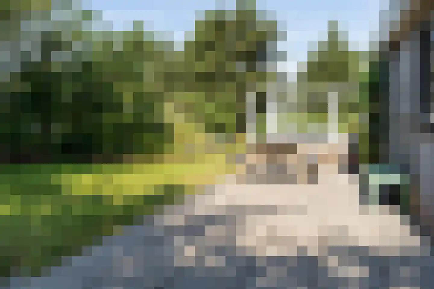 Gladde Duuntjes 4 Buren thumbnail 33