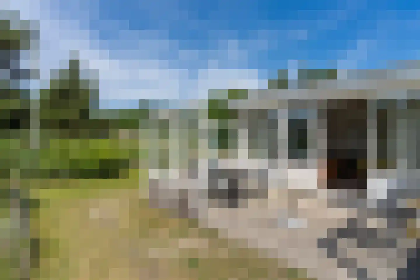 Gladde Duuntjes 4 Buren thumbnail 34