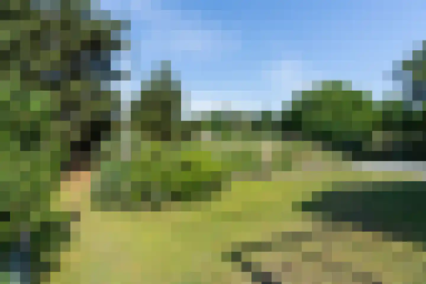 Gladde Duuntjes 4 Buren thumbnail 36