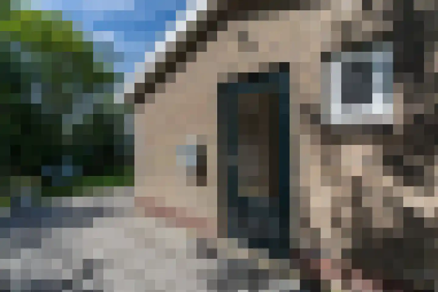 Gladde Duuntjes 4 Buren thumbnail 38