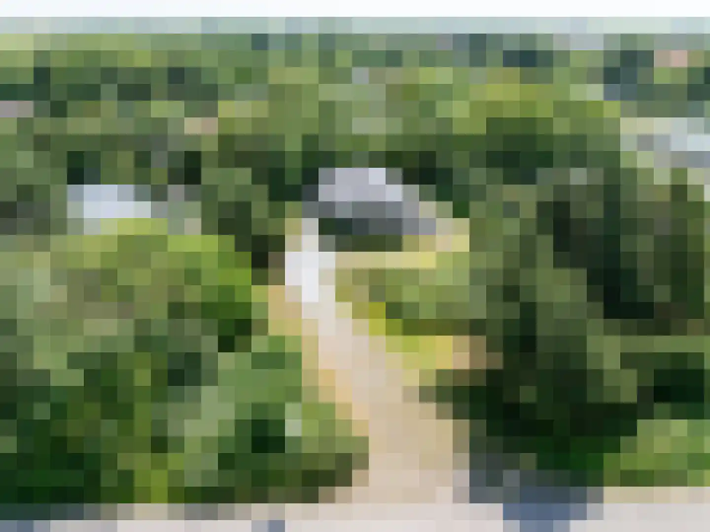 Gladde Duuntjes 4 Buren thumbnail 42