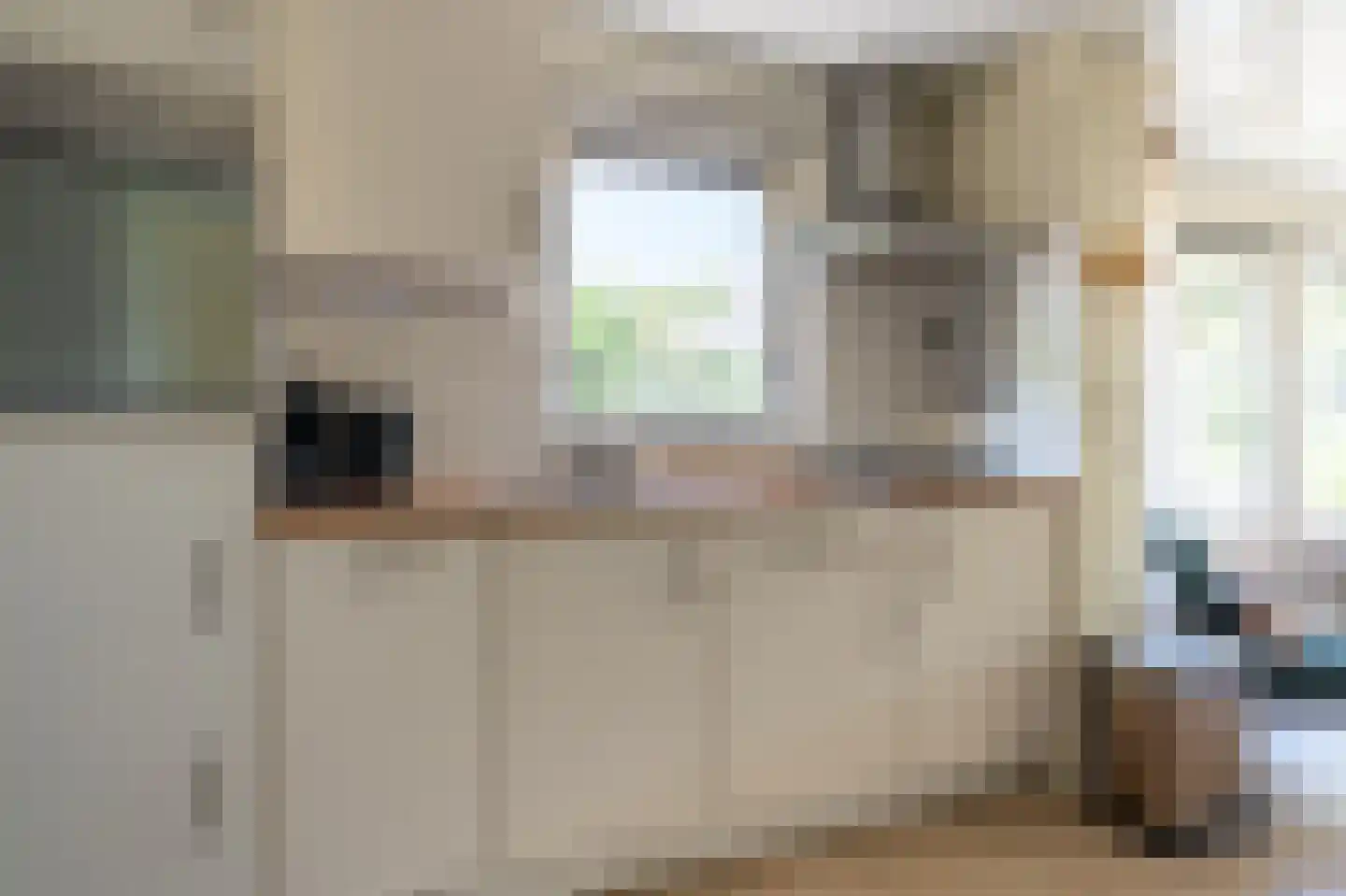 Gladde Duuntjes 4 Buren thumbnail 6