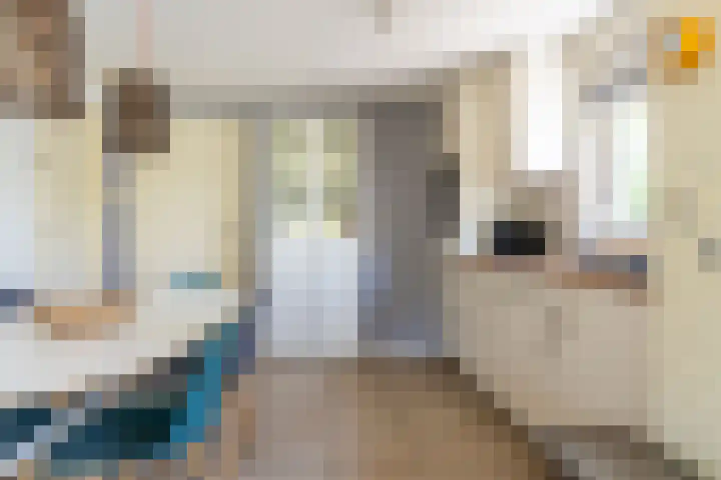 Gladde Duuntjes 4 Buren thumbnail 7