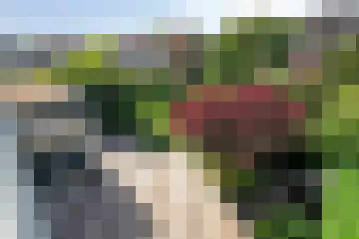 Gladiolenlaan 1 Rozenburg thumbnail 36