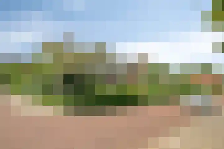 Gladiolenlaan 1 Rozenburg thumbnail 4