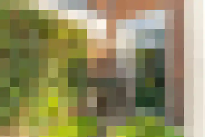 Gladiolenlaan 12 Beverwijk thumbnail 29