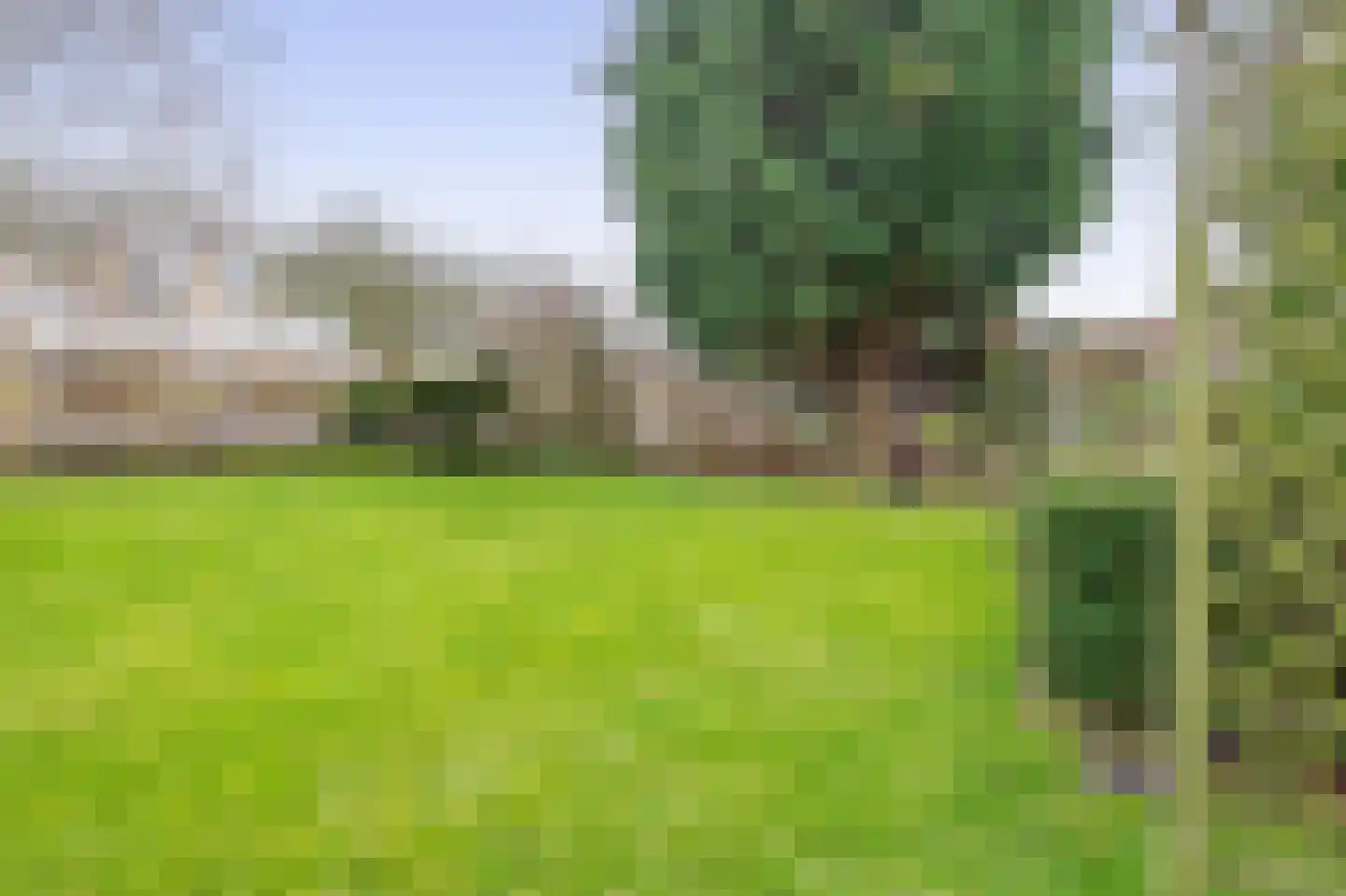 Gladiolenlaan 4 B Rozenburg thumbnail 32