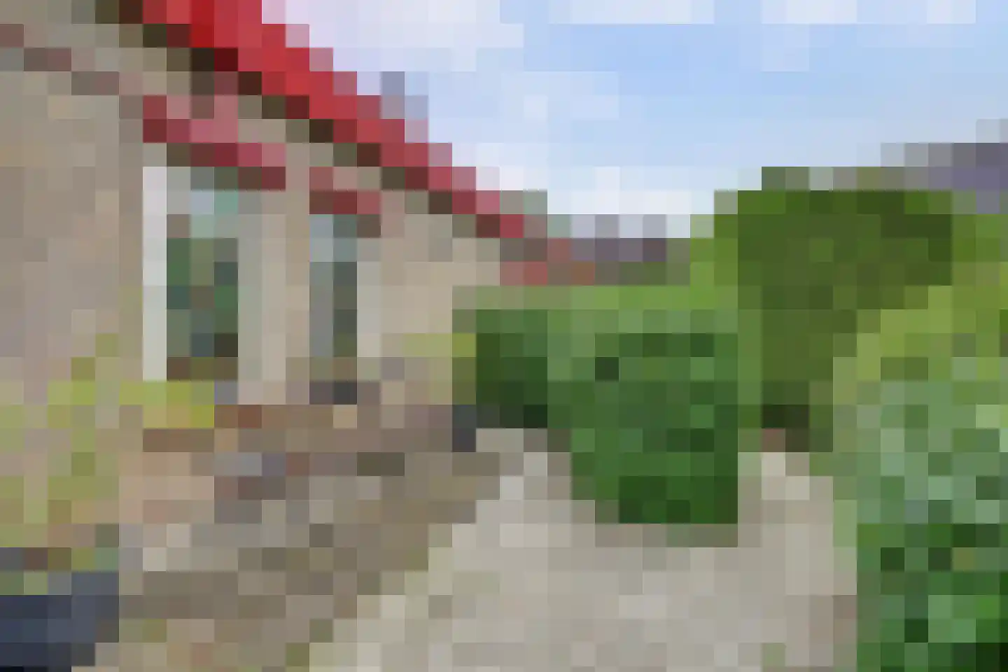 Gladiolenlaan 4 B Rozenburg thumbnail 38