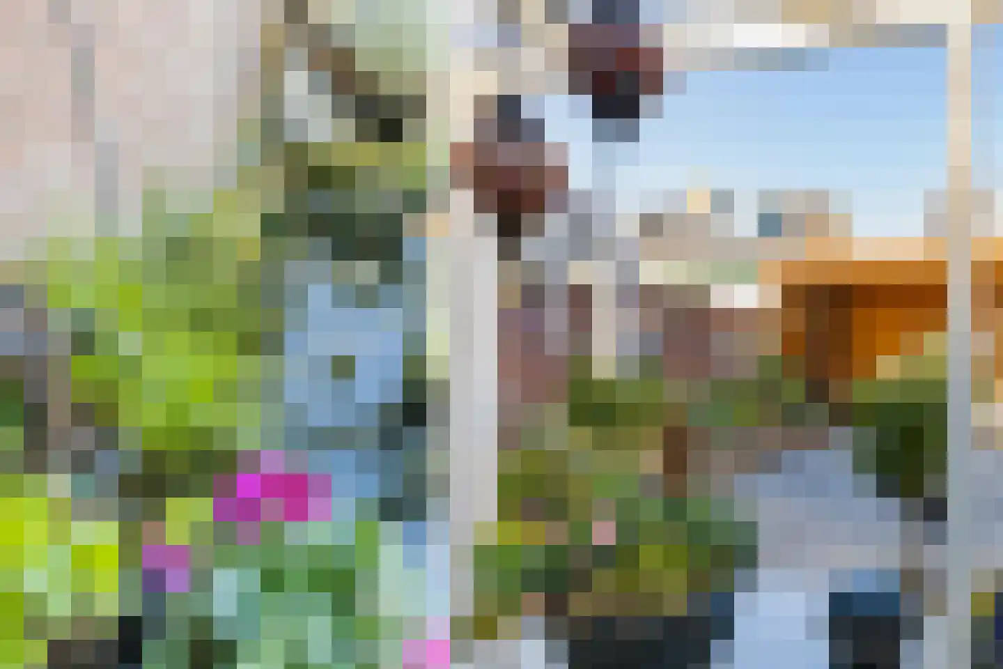Gladiolenlaan 62 Beverwijk thumbnail 47