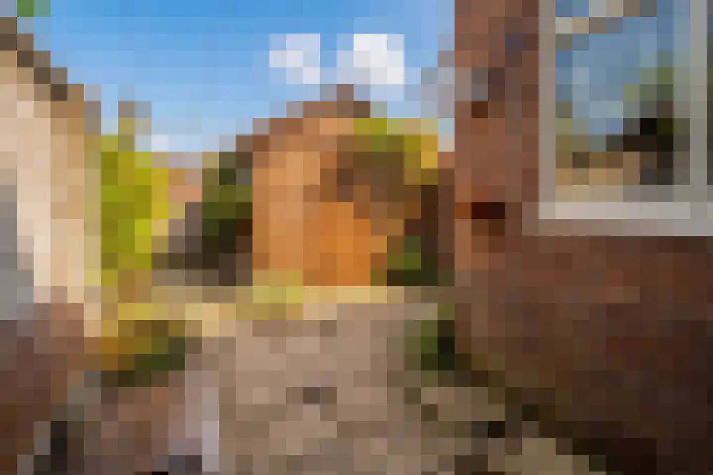 Gladiolenstraat 12 Santpoort-Noord thumbnail 22
