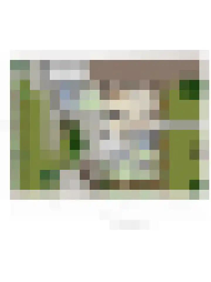 Gladiolenstraat 13 Sint Philipsland thumbnail 49