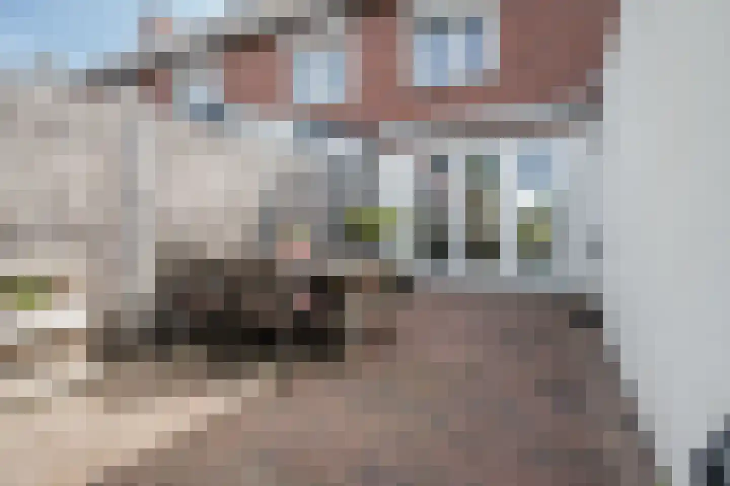 Gladiolenstraat 17 Veghel thumbnail 40