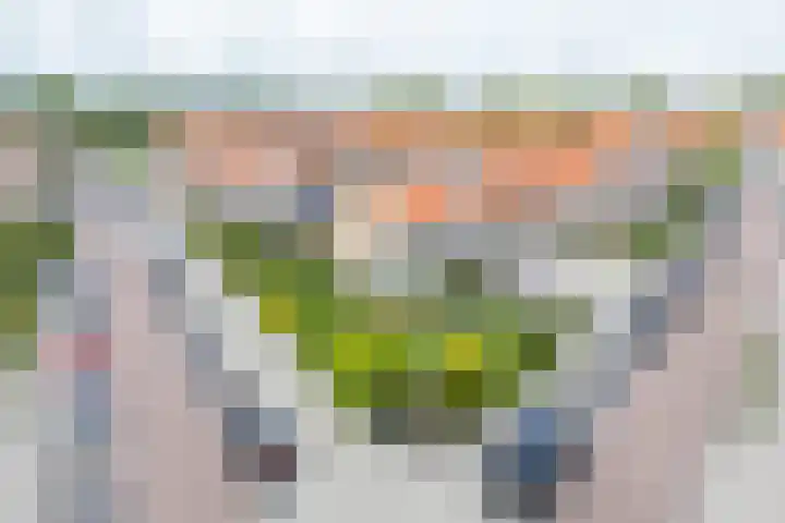 Gladiolenstraat 19 Volendam thumbnail 52