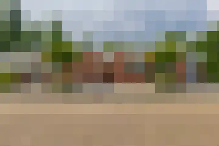 Gladiolenstraat 2 Sommelsdijk thumbnail 4
