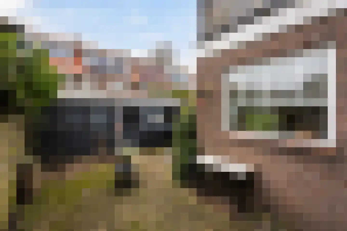 Gladiolenstraat 20 Zwolle thumbnail 29