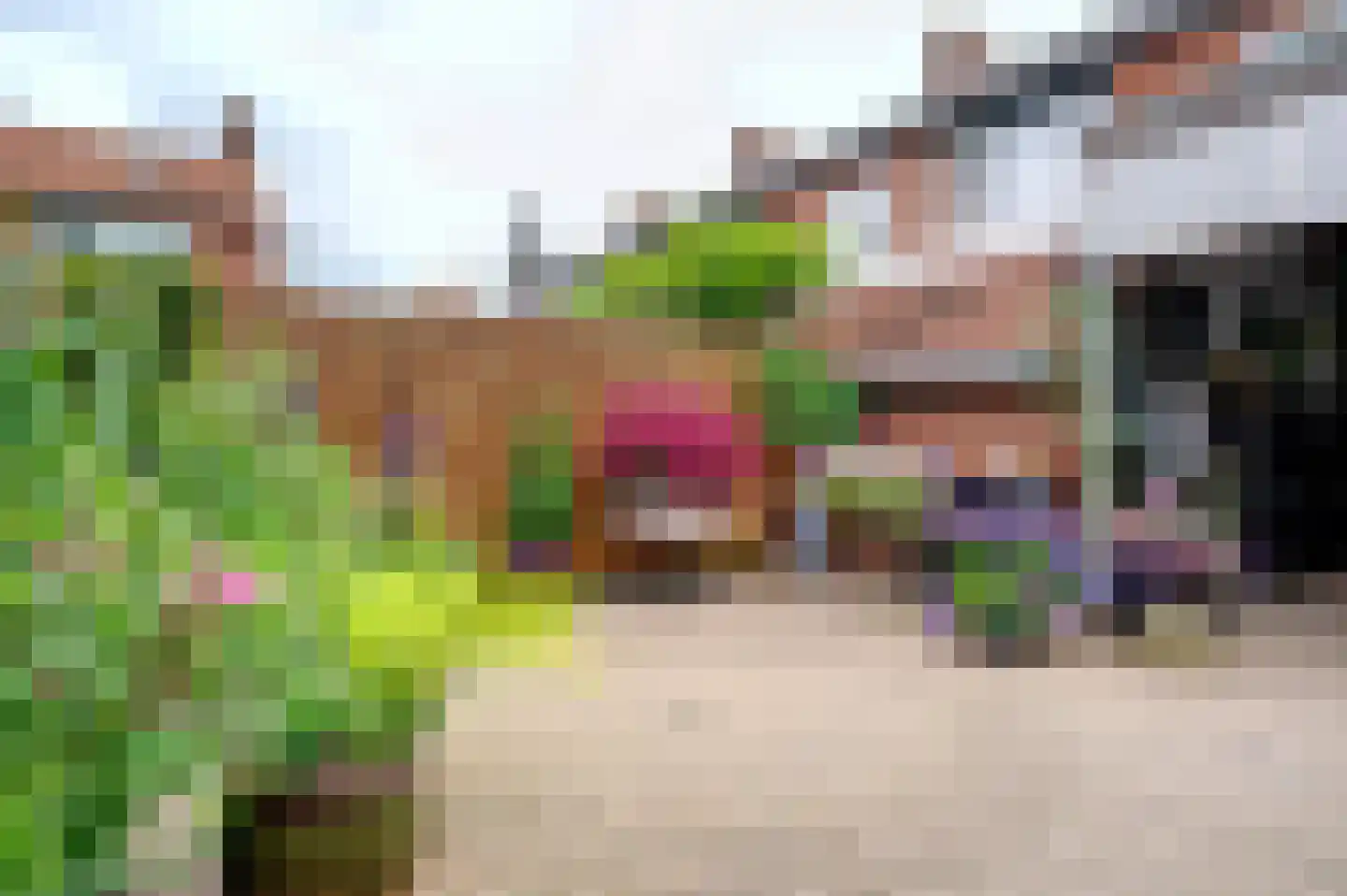 Gladiolenstraat 48 Sappemeer thumbnail 7