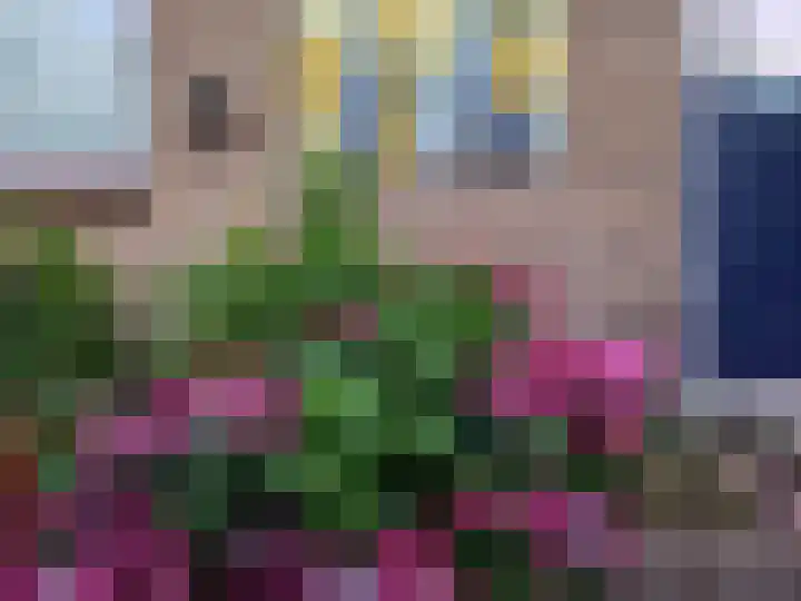 Gladiolenstraat 50 Sint Philipsland thumbnail 31