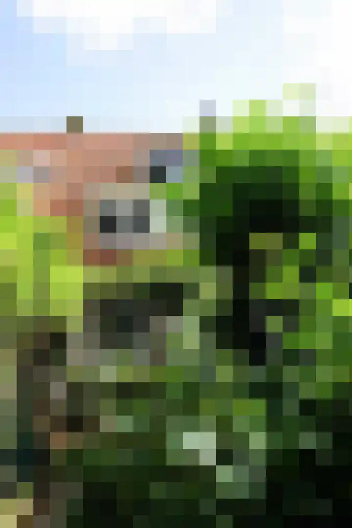 Gladiolenstraat 6 Den Helder thumbnail 24