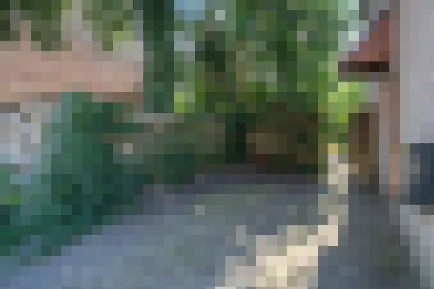 Gladiolenstraat 8 Wageningen thumbnail 4