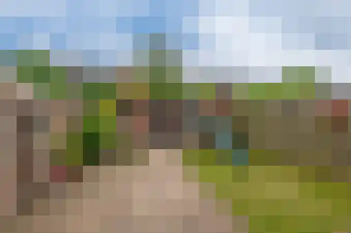 Gladioluslaan 26 Waalre thumbnail 21