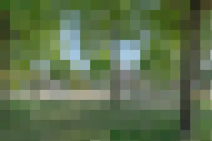 Gladioluslaan 26 Waalre thumbnail 23
