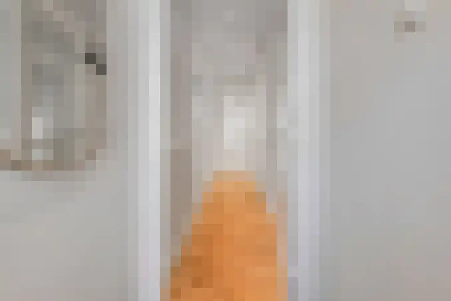 Gladiolusstraat 11 B Rotterdam thumbnail 13