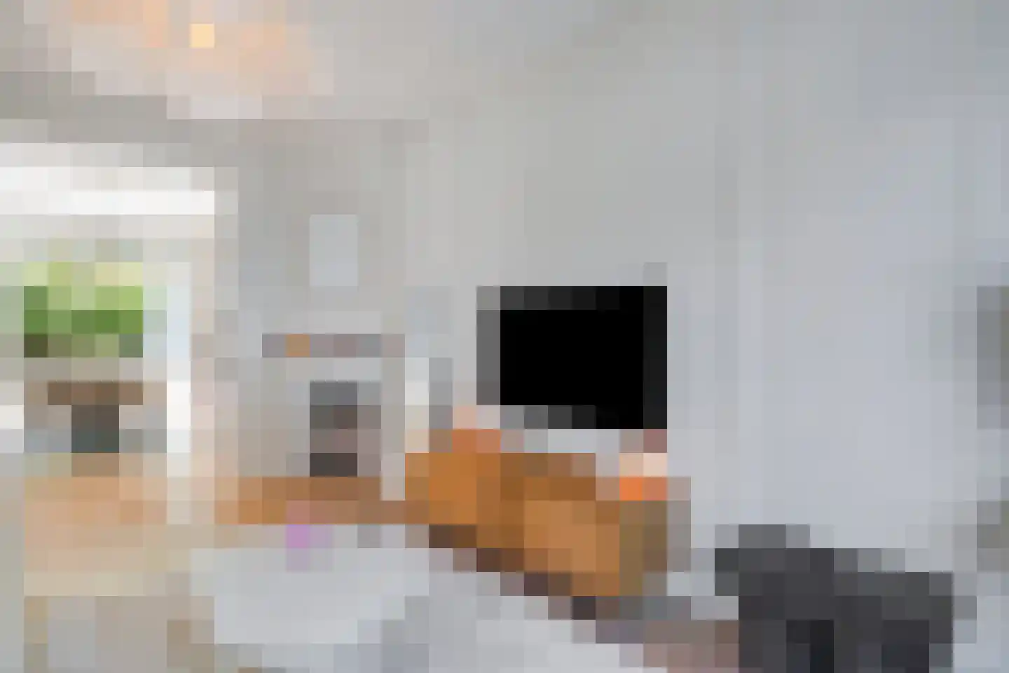 Gladiolusstraat 11 B Rotterdam thumbnail 16