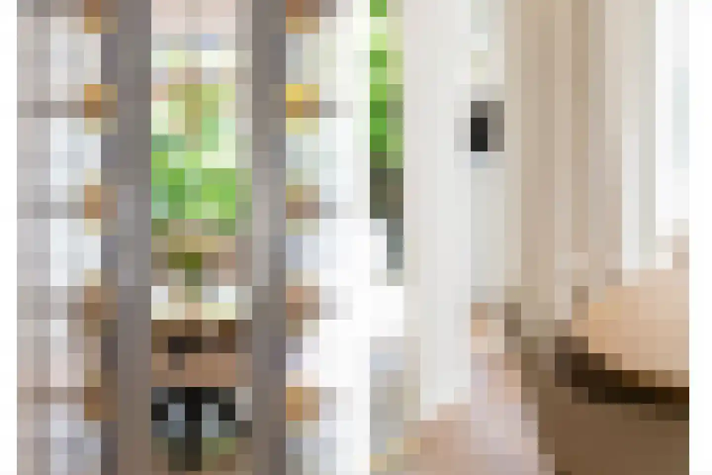 Gladiolusstraat 11 B Rotterdam thumbnail 19