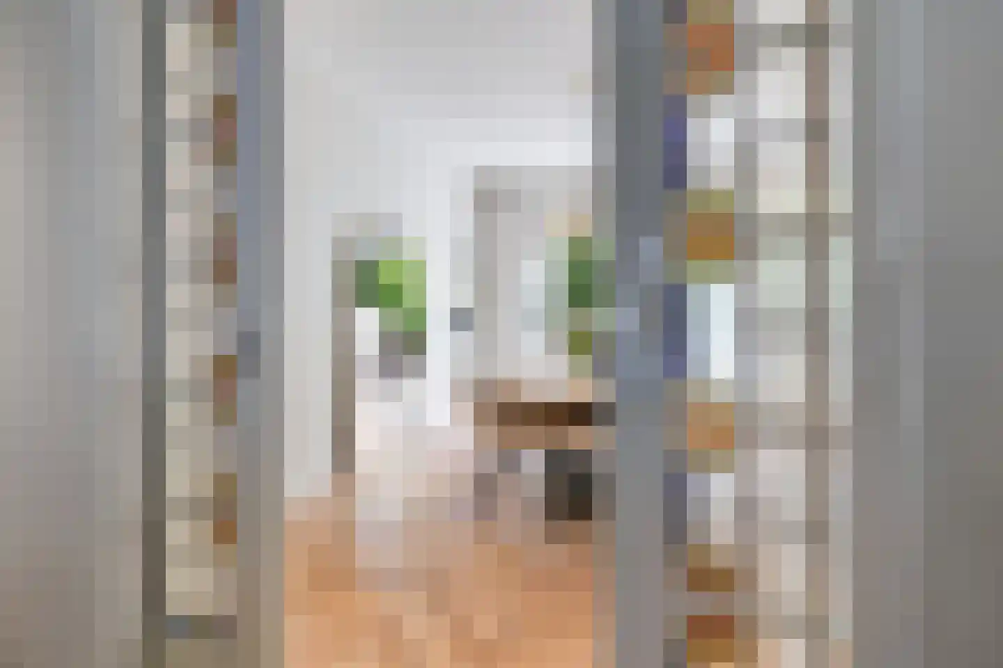 Gladiolusstraat 11 B Rotterdam thumbnail 20