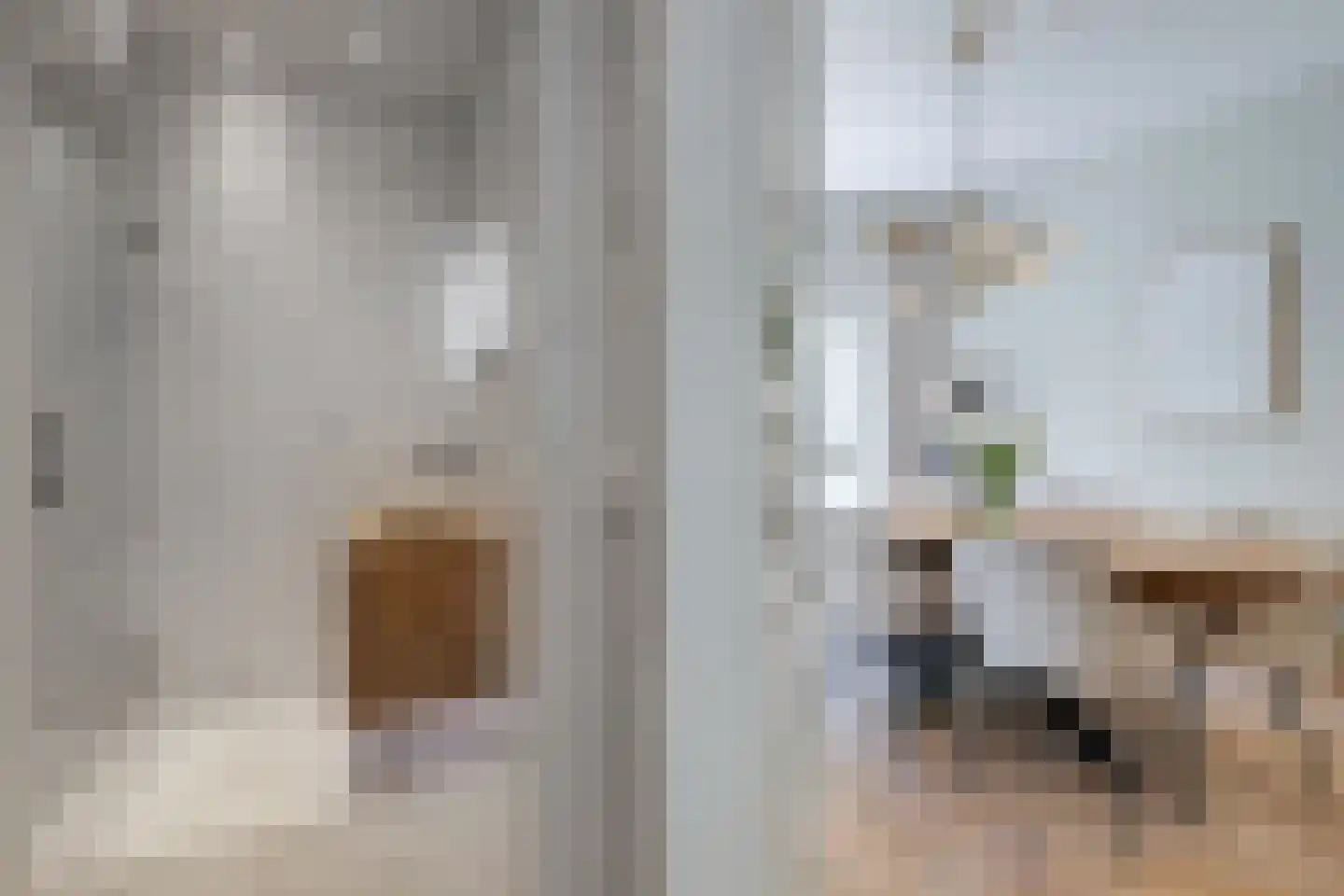Gladiolusstraat 11 B Rotterdam thumbnail 28