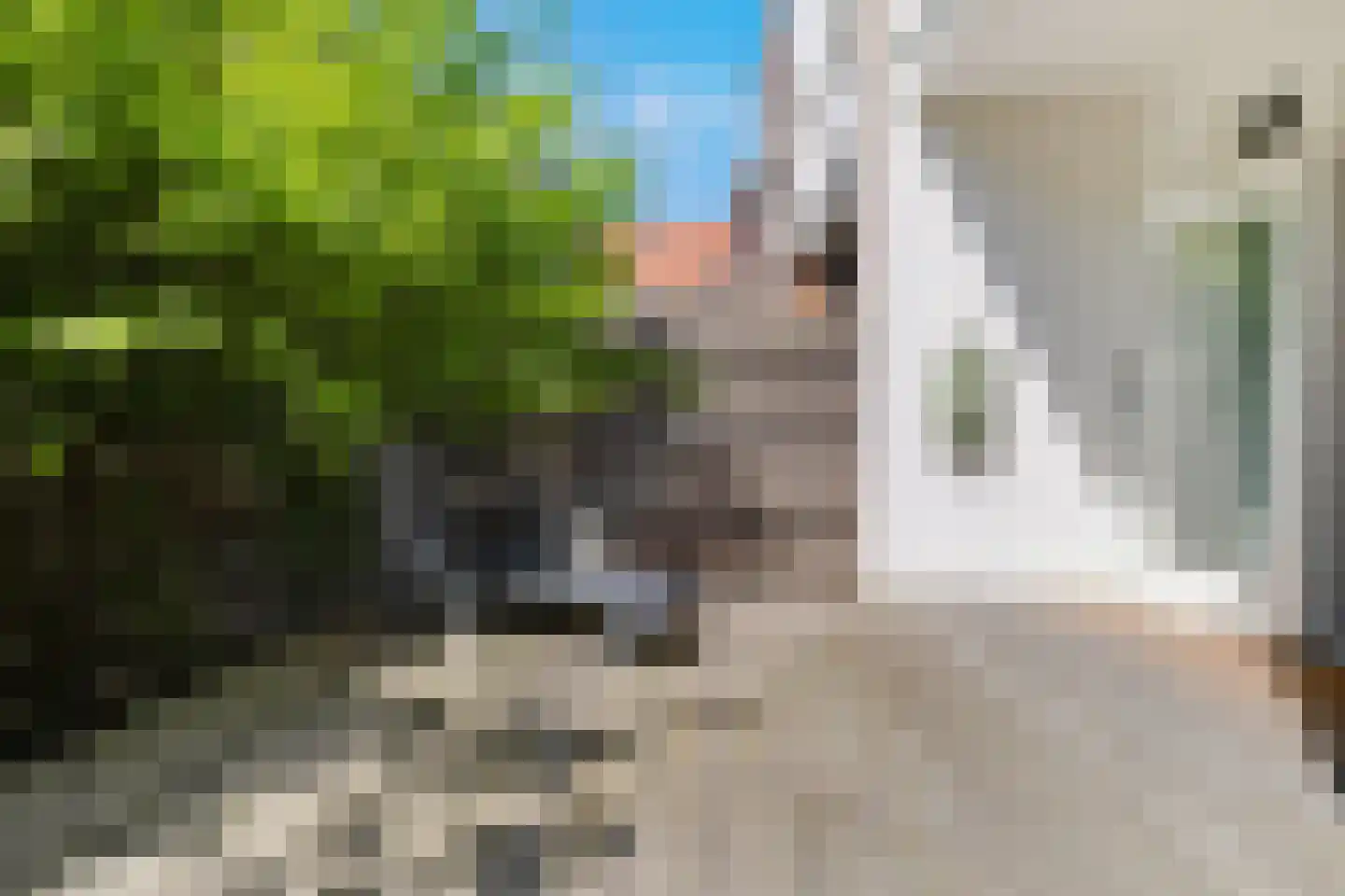 Gladiolusstraat 11 B Rotterdam thumbnail 9