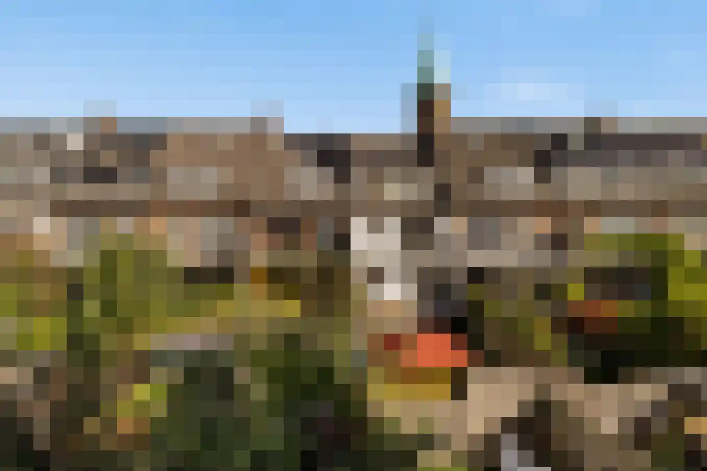 Gladiolusstraat 16 B Rotterdam thumbnail 12