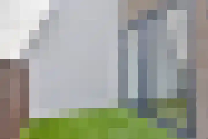 Gladiolusstraat 20 A Eindhoven thumbnail 14