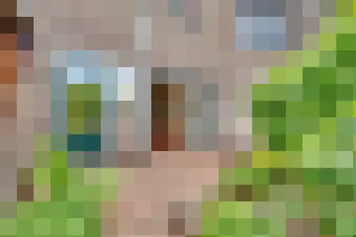 Gladiolusstraat 20 Hilversum thumbnail 28