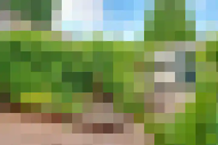 Gladiolusstraat 20 Hilversum thumbnail 33