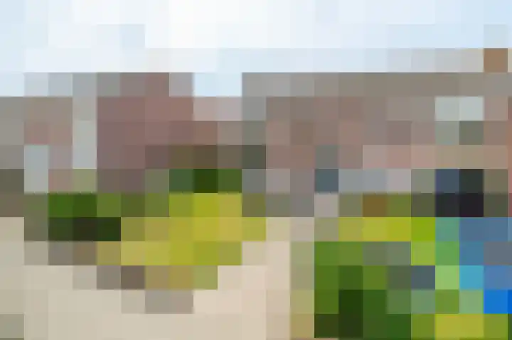 Gladiolusstraat 35 Noordwijk thumbnail 37