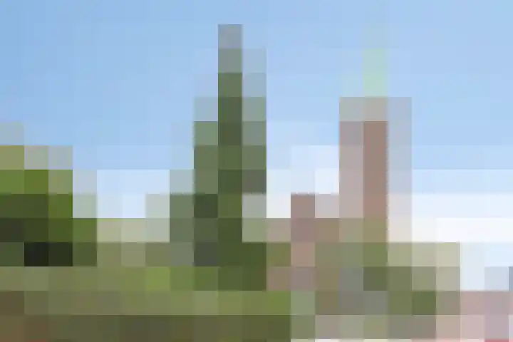 Gladiolusstraat 37 B Rotterdam thumbnail 33