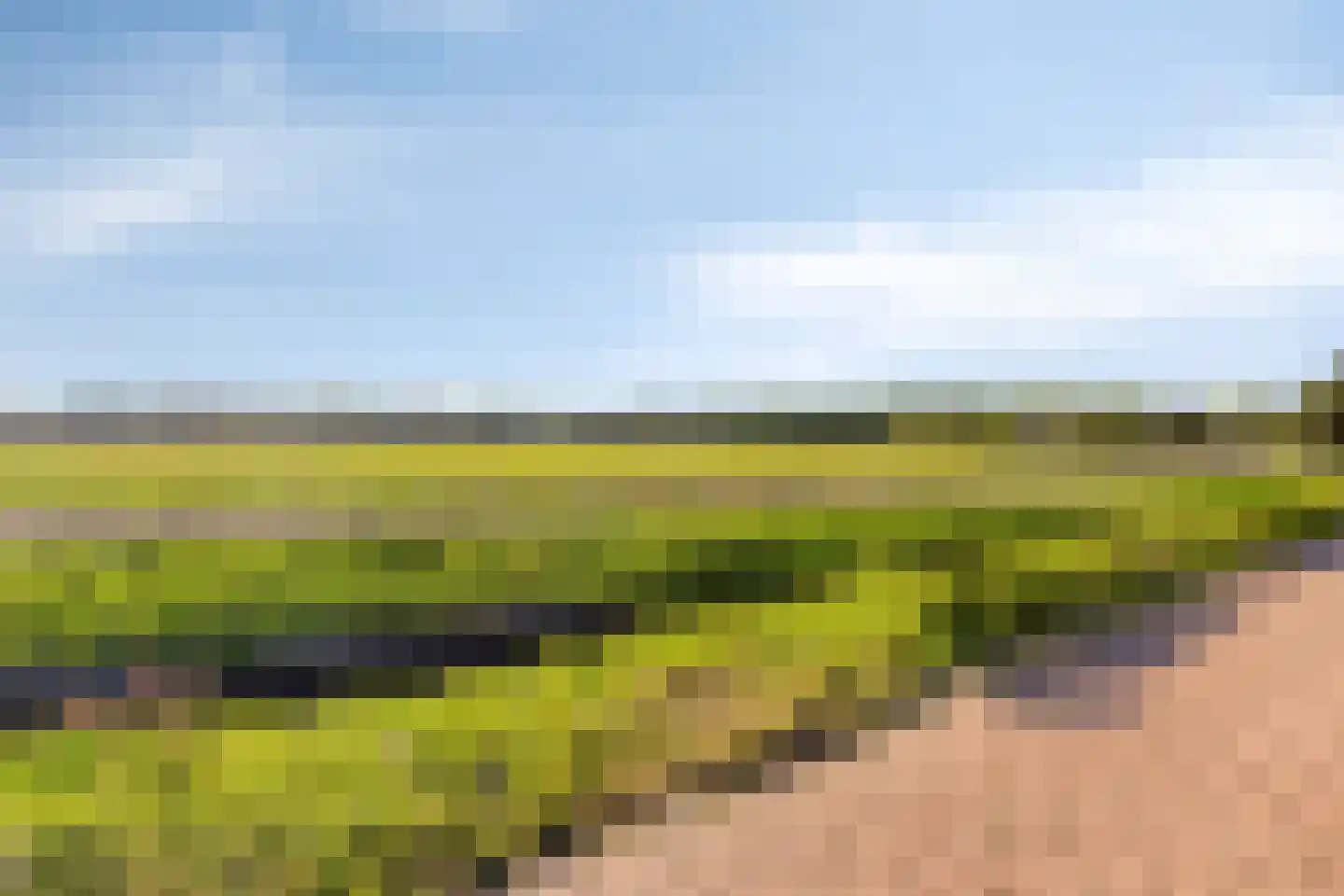 Gladiolusstraat 45 Noordwijk thumbnail 34