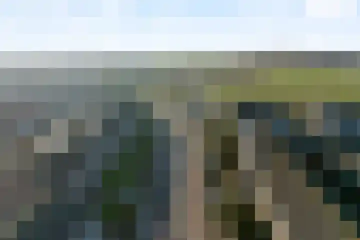 Gladiolusstraat 61 Noordwijk thumbnail 4