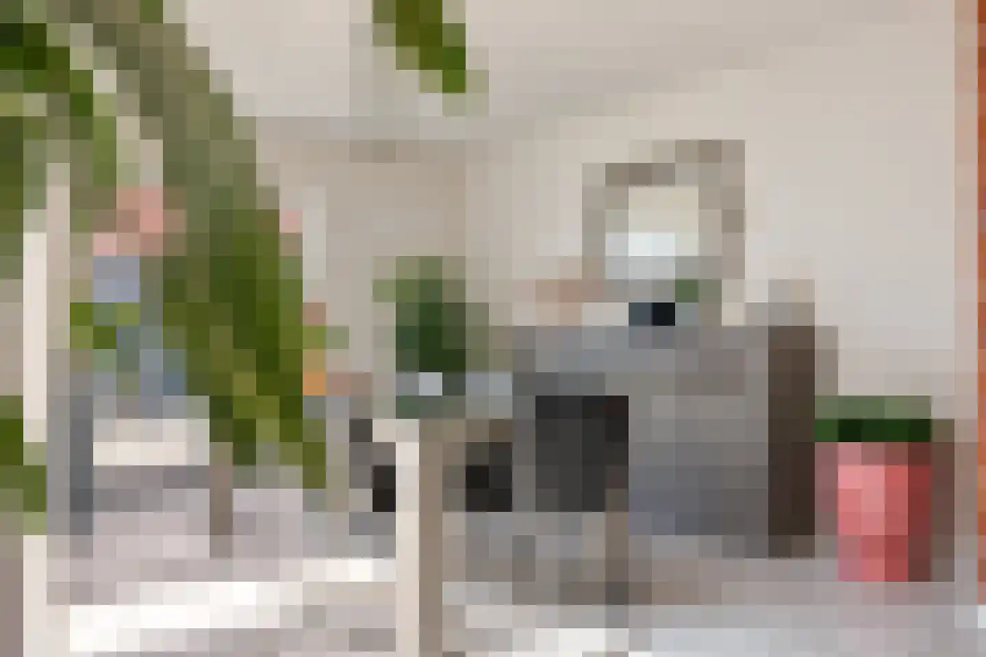 Gladioolstraat 10 Musselkanaal thumbnail 18
