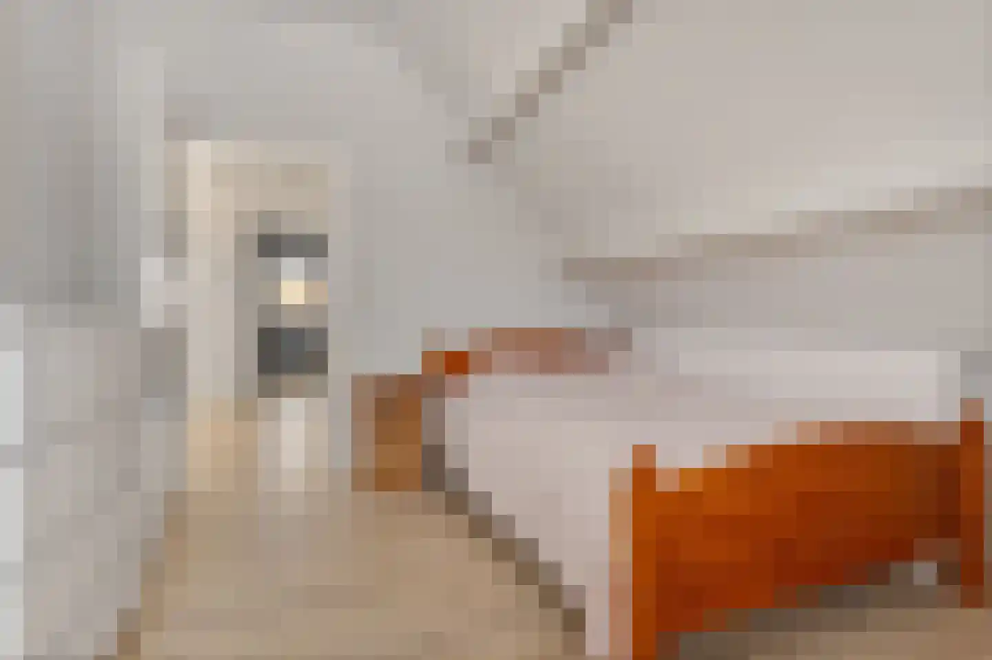 Gladioolstraat 10 Musselkanaal thumbnail 36