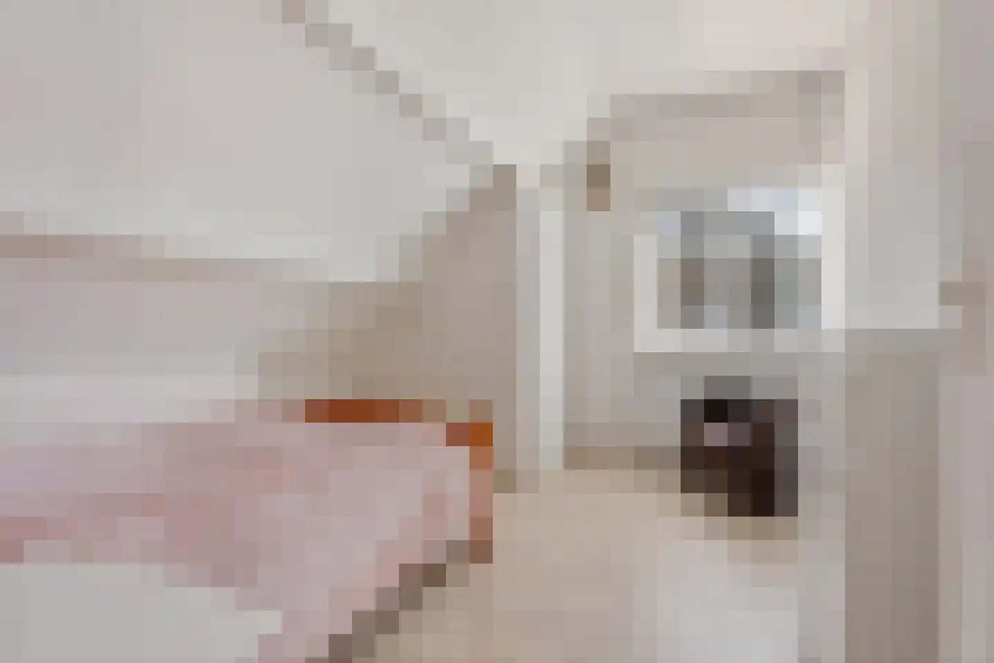 Gladioolstraat 10 Musselkanaal thumbnail 37