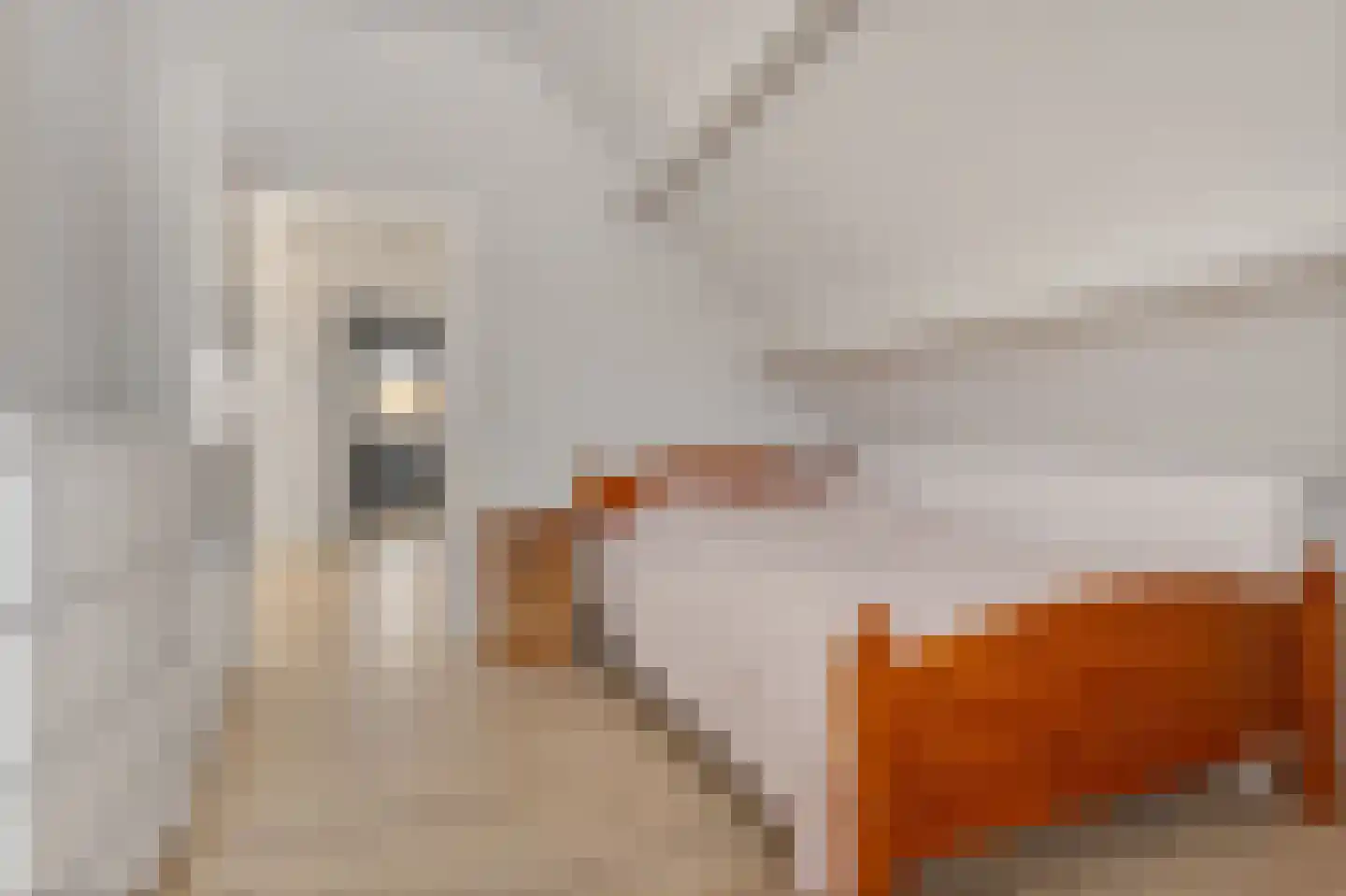 Gladioolstraat 10 Musselkanaal thumbnail 38