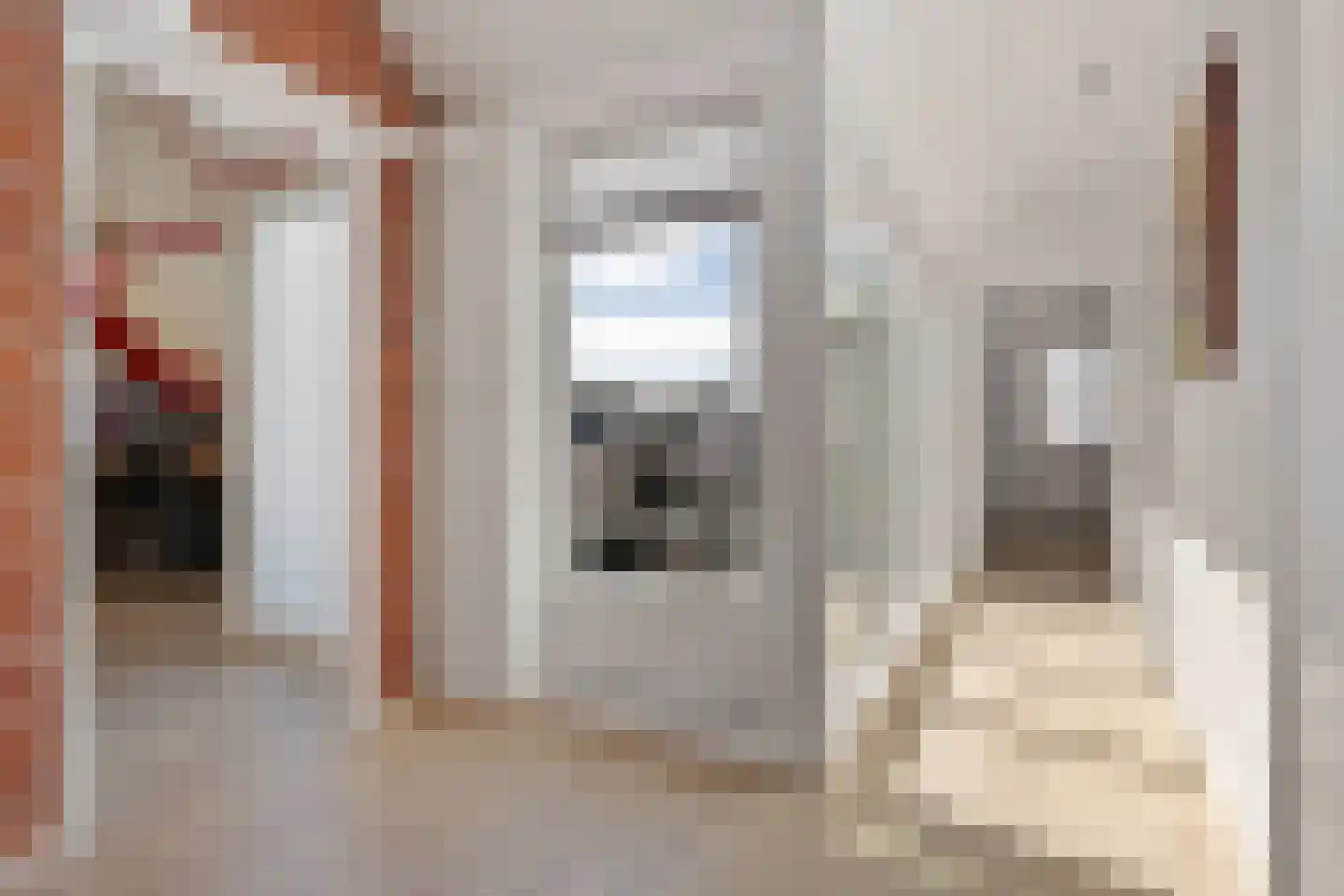 Gladioolstraat 10 Musselkanaal thumbnail 38
