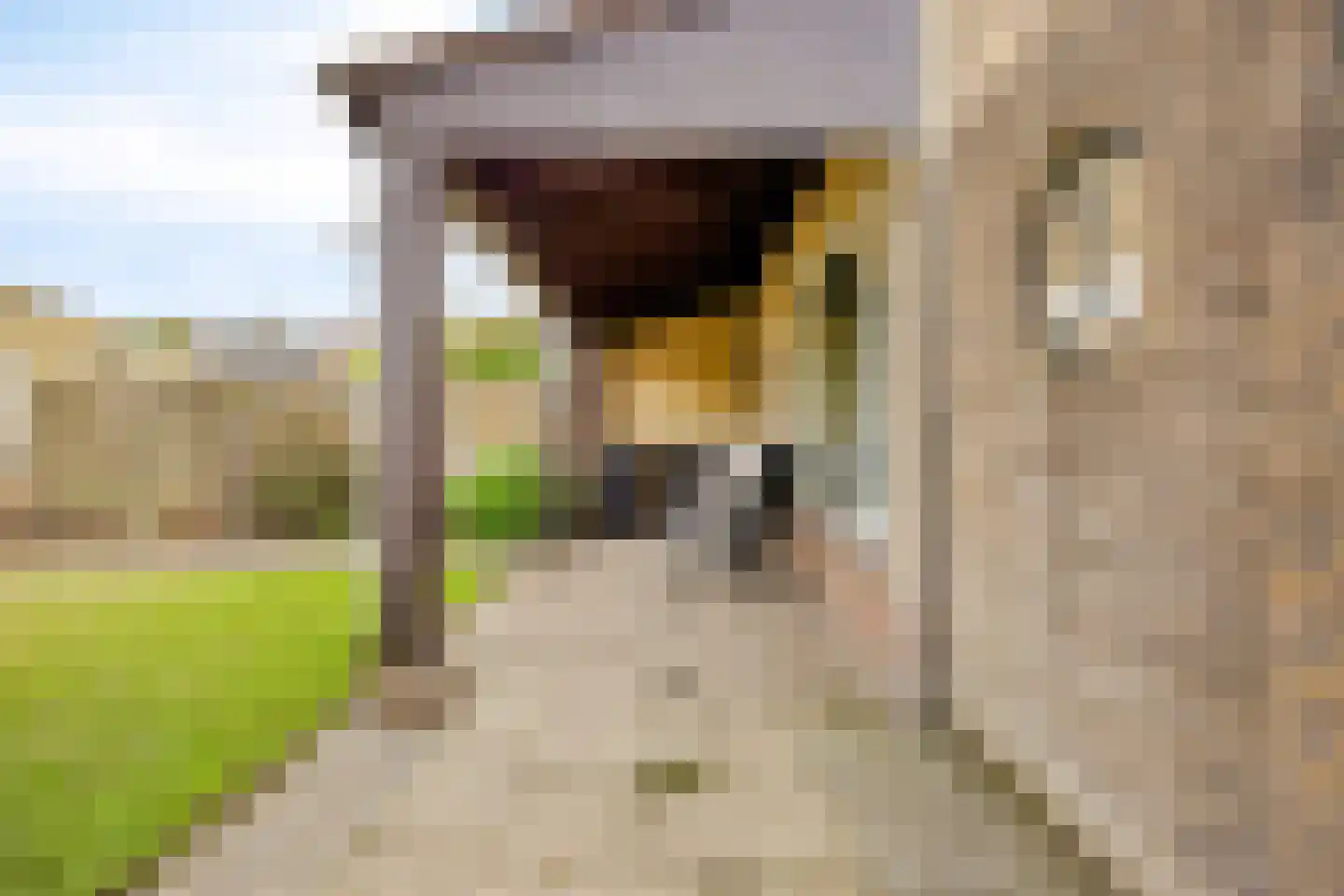 Gladioolstraat 12 Dongen thumbnail 23