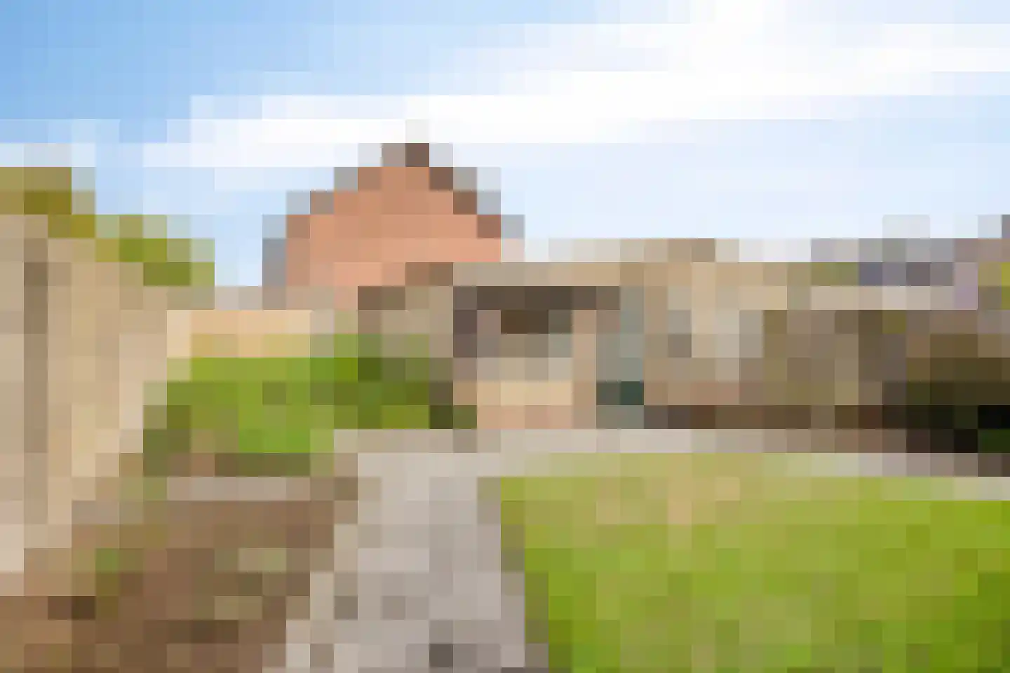 Gladioolstraat 12 Dongen thumbnail 24