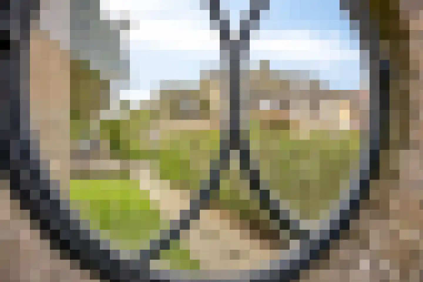 Gladioolstraat 12 Dongen thumbnail 26