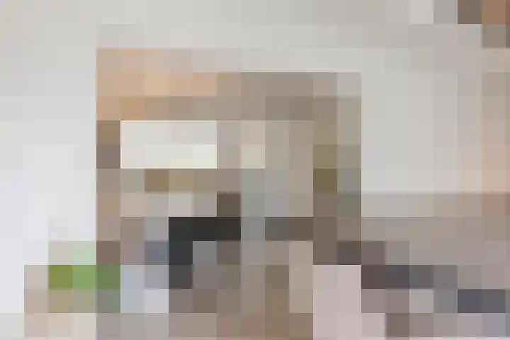 Gladioolstraat 17 Dongen thumbnail 15